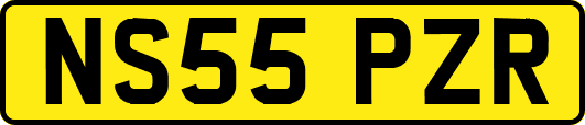 NS55PZR