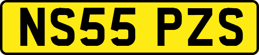 NS55PZS