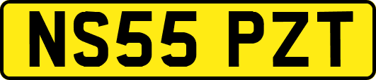 NS55PZT