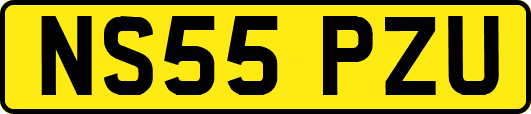 NS55PZU
