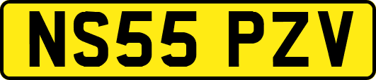NS55PZV