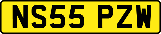 NS55PZW