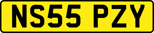 NS55PZY