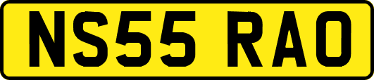 NS55RAO