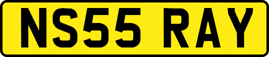 NS55RAY