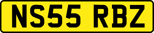 NS55RBZ