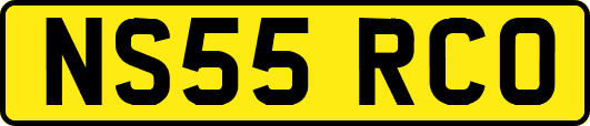 NS55RCO
