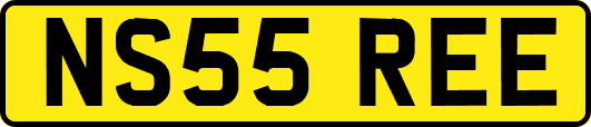 NS55REE