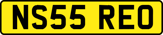 NS55REO
