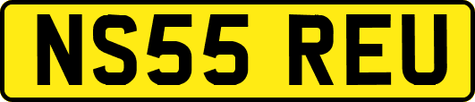 NS55REU