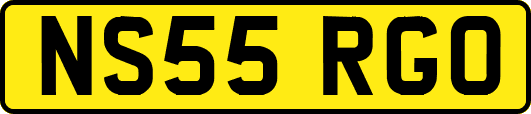 NS55RGO