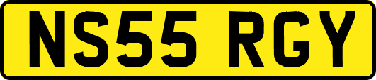 NS55RGY