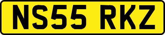 NS55RKZ