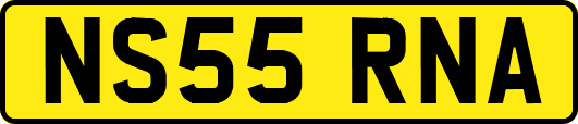 NS55RNA
