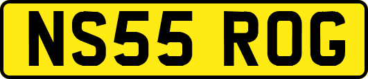 NS55ROG