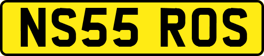 NS55ROS