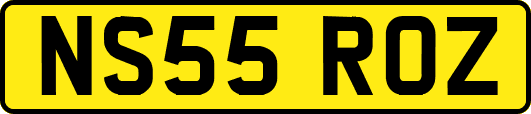 NS55ROZ