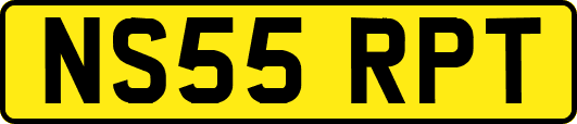 NS55RPT