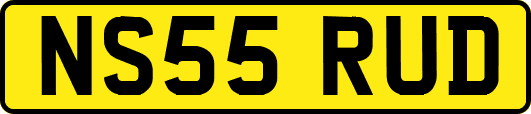 NS55RUD