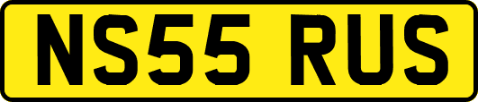 NS55RUS