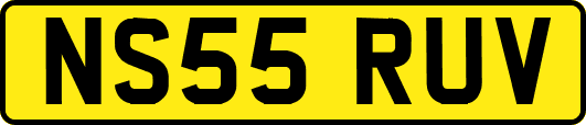 NS55RUV