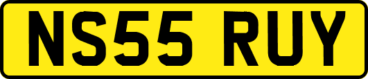 NS55RUY