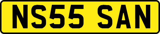 NS55SAN