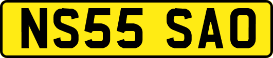 NS55SAO