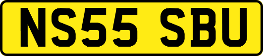 NS55SBU