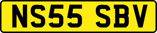 NS55SBV