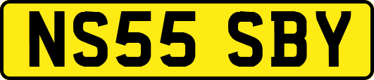 NS55SBY