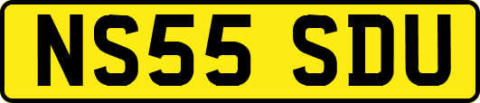 NS55SDU