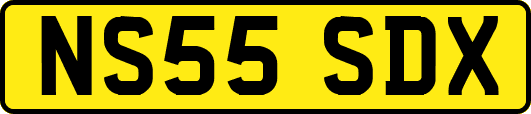 NS55SDX