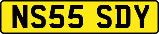 NS55SDY