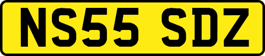 NS55SDZ