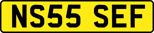 NS55SEF