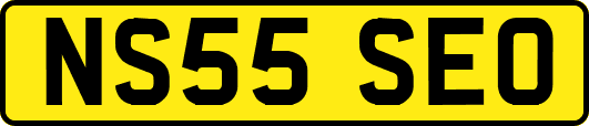 NS55SEO