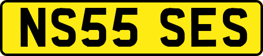 NS55SES