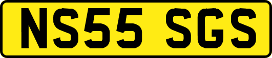 NS55SGS