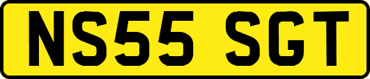 NS55SGT