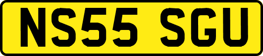NS55SGU