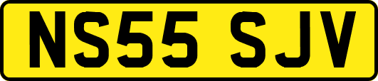 NS55SJV