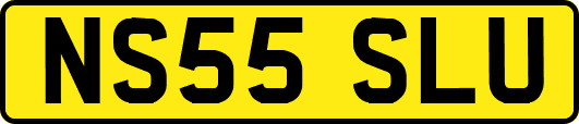 NS55SLU