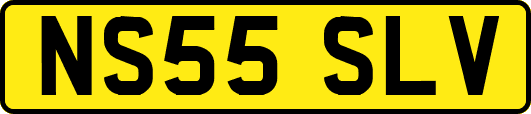 NS55SLV