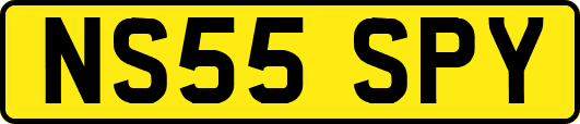 NS55SPY
