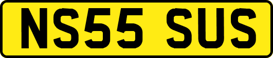 NS55SUS