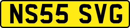 NS55SVG