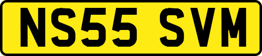 NS55SVM
