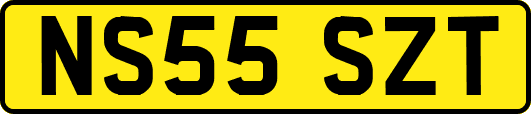 NS55SZT