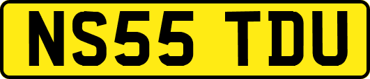 NS55TDU